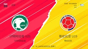足球中青赛新规出炉 助力青少年与职业联赛衔接